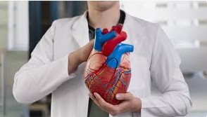 Cardiovascular