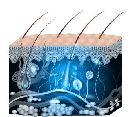 Dermato Funcional